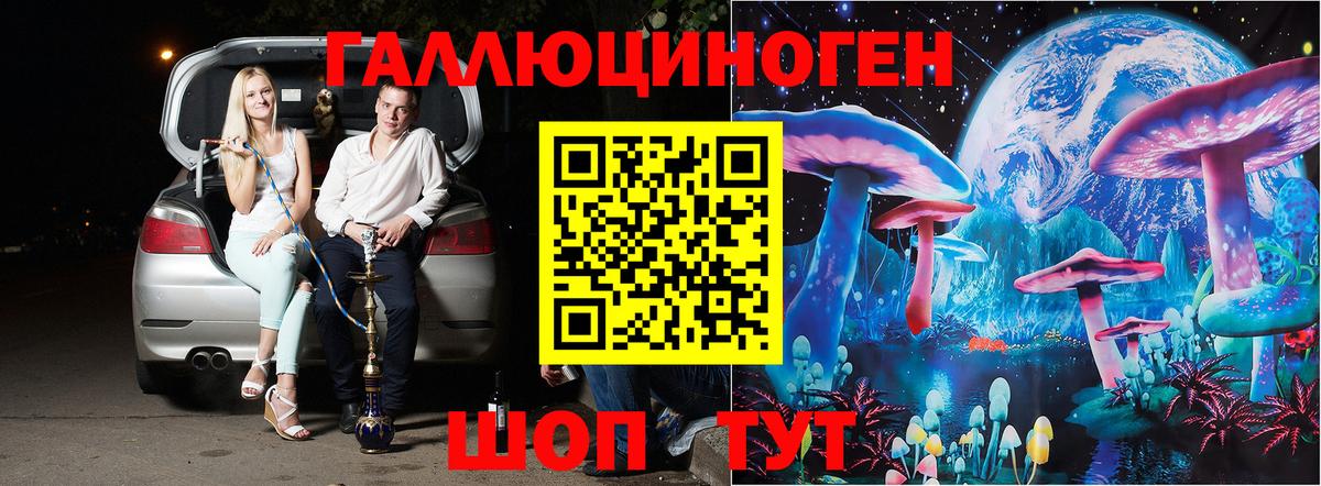 Псилоцибиновые грибы мицелий Шадринск
